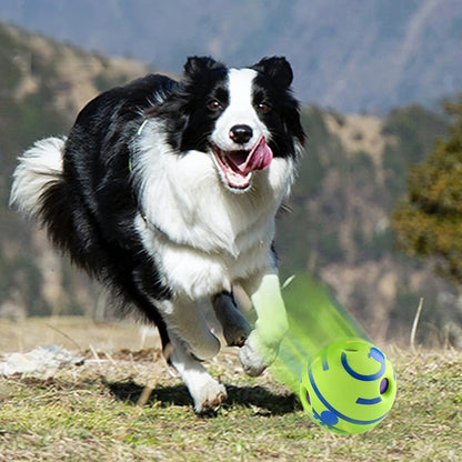Pelota interactiva