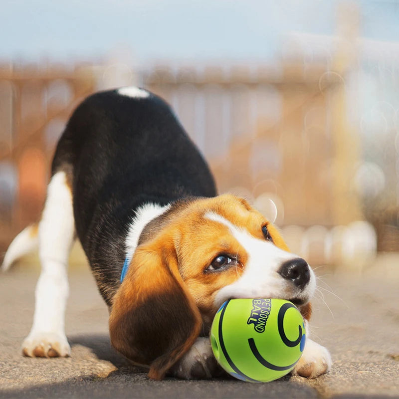 Pelota interactiva